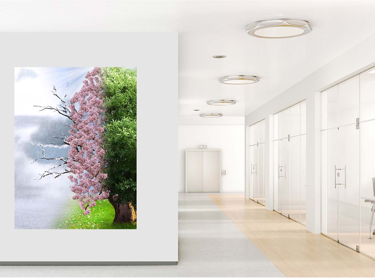 Ouray  Painting Contractor, Painting Company and Remodeling Contractor